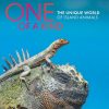 Home Burning Torch | One Of A Kind: The Unique World Of Island Animals