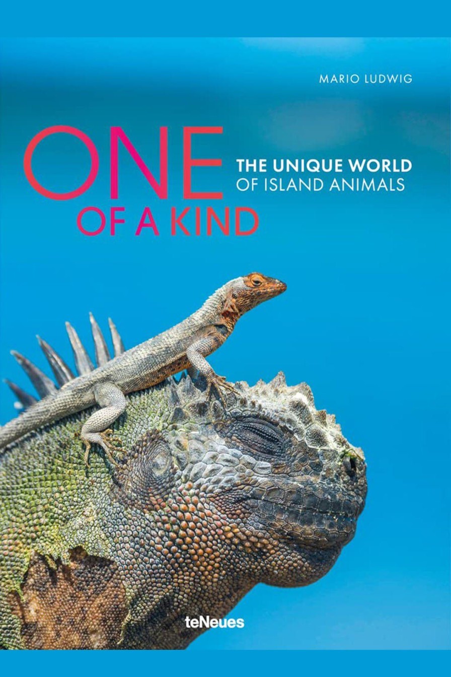 Home Burning Torch | One Of A Kind: The Unique World Of Island Animals